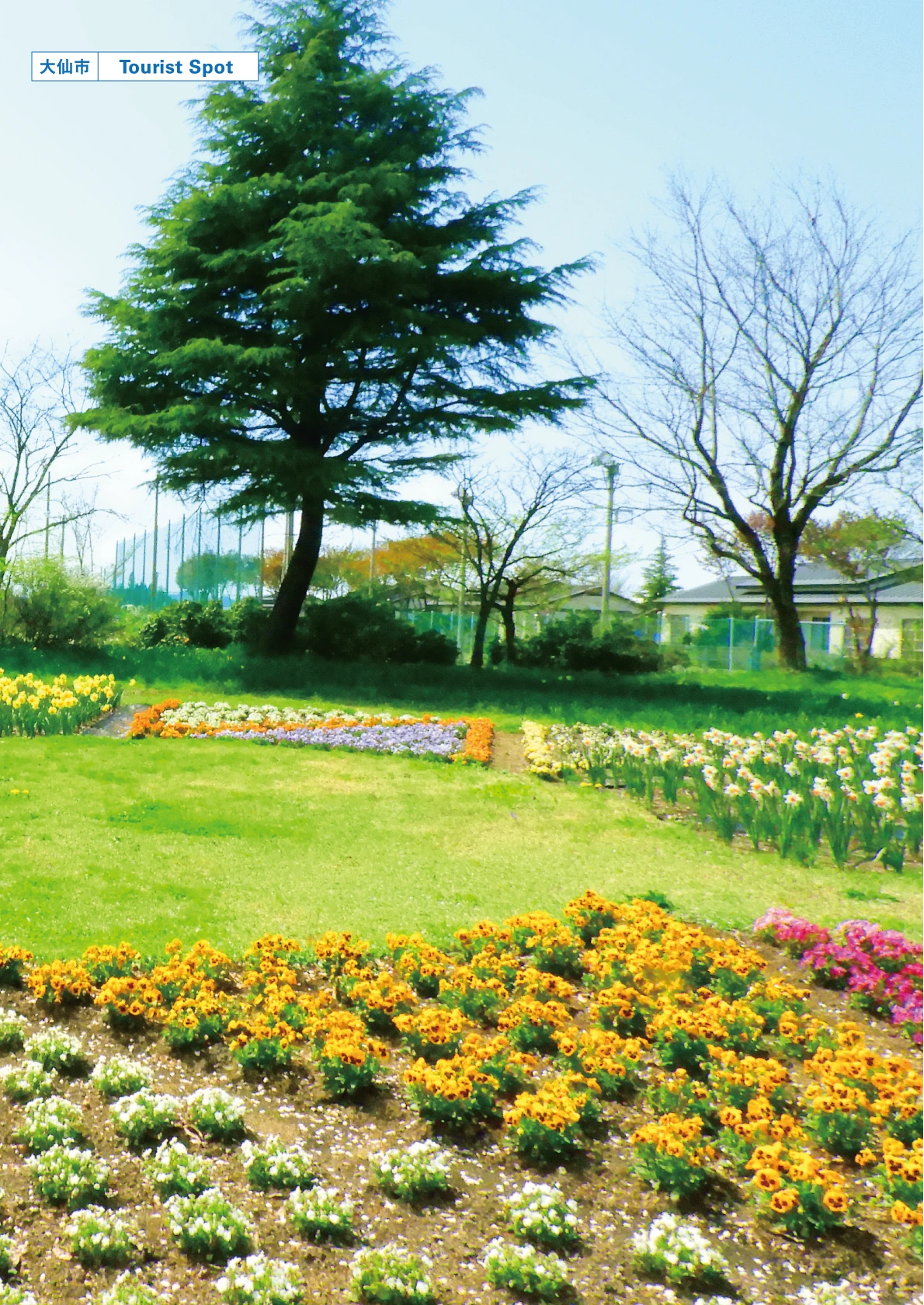 横沢公園